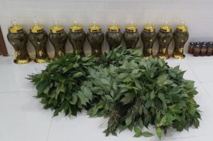 Lá Sâm Ngọc Linh ngâm rượu Lá Sâm Ngọc Linh Ngâm Rượu