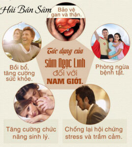Lưu ý khi sử dụng Sâm Ngọc Linh Lưu ý khi sử dụng Sâm ngọc linh