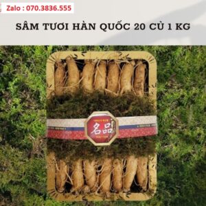 Sâm Tươi Hàn Quốc 20 Củ 1 kg Sam Tuoi Han Quoc 20 Cu 1 kg 3