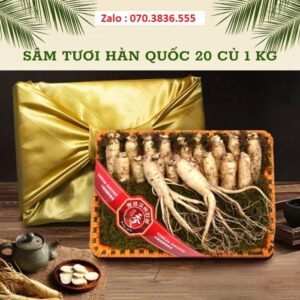 Sâm Tươi Hàn Quốc 20 Củ 1 kg