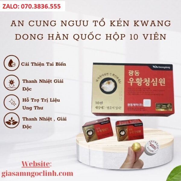 An Cung Ngưu Tổ Kén Kwang Dong Hàn Quốc Hộp 10 Viên