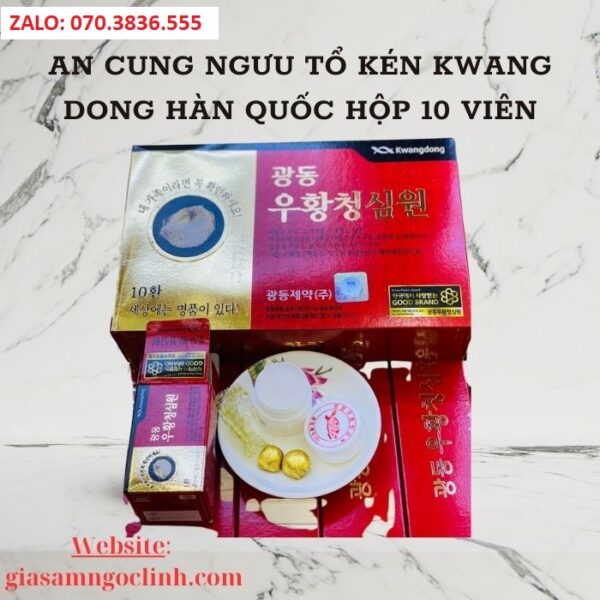 An Cung Ngưu Tổ Kén Kwang Dong Hàn Quốc Hộp 10 Viên