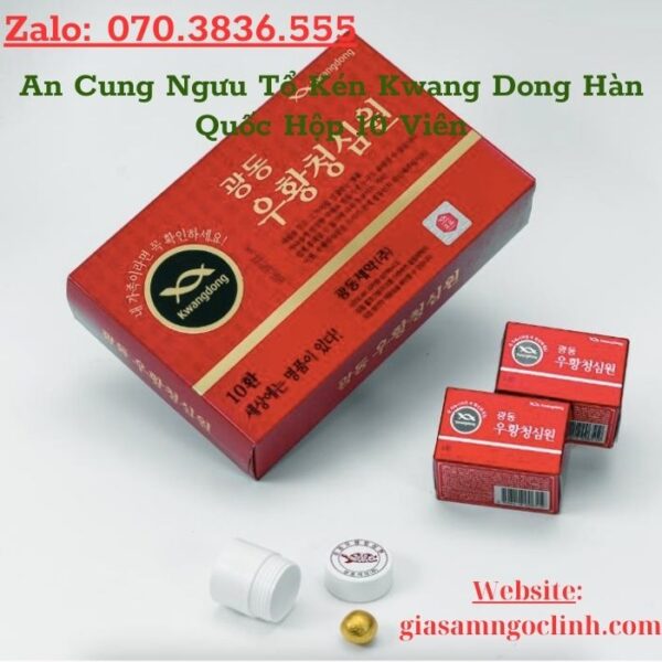 An Cung Ngưu Tổ Kén Kwang Dong Hàn Quốc Hộp 10 Viên