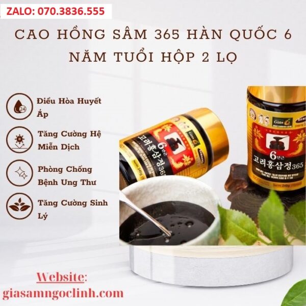 Cao Hồng Sâm 365 Hàn Quốc 6 Năm Tuổi Hộp 2 Lọ
