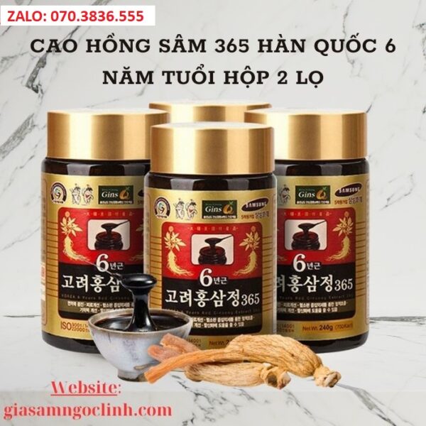 Cao Hồng Sâm 365 Hàn Quốc 6 Năm Tuổi Hộp 2 Lọ