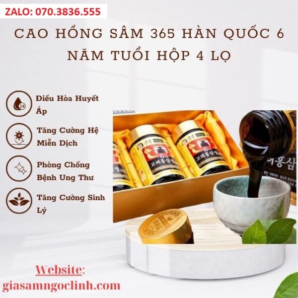 Cao Hồng Sâm 365 Hàn Quốc 6 Năm Tuổi Hộp 4 Lọ