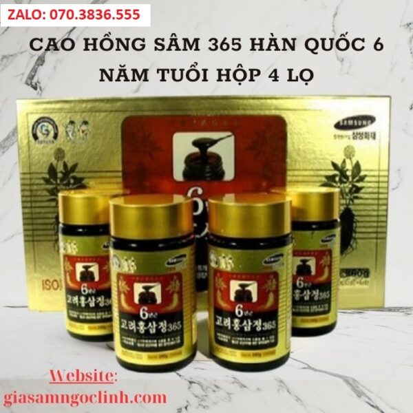 Cao Hồng Sâm 365 Hàn Quốc 6 Năm Tuổi Hộp 4 Lọ