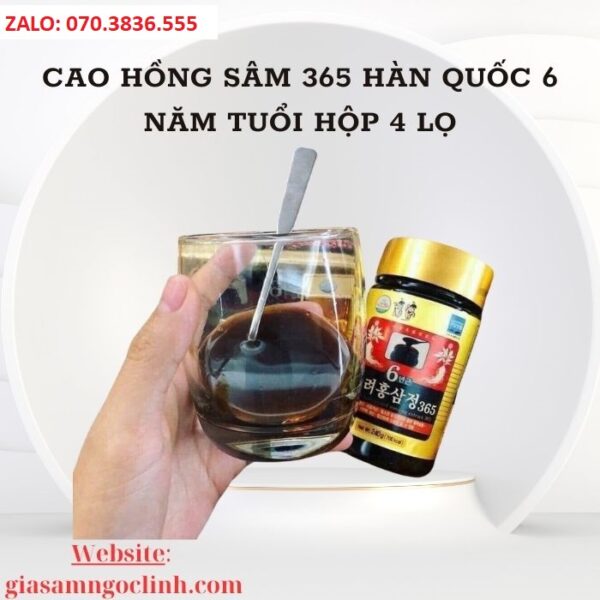 Cao Hồng Sâm 365 Hàn Quốc 6 Năm Tuổi Hộp 4 Lọ