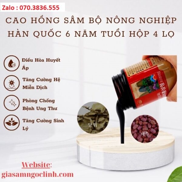 Cao Hồng Sâm Bộ Nông Nghiệp Hàn Quốc 6 Năm Tuổi Hộp 4 Lọ