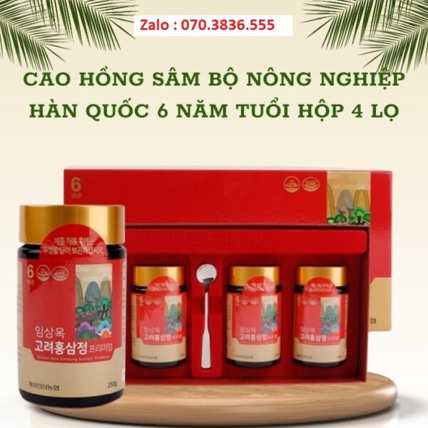 Cao Hồng Sâm Bộ Nông Nghiệp Hàn Quốc 6 Năm Tuổi Hộp 4 Lọ