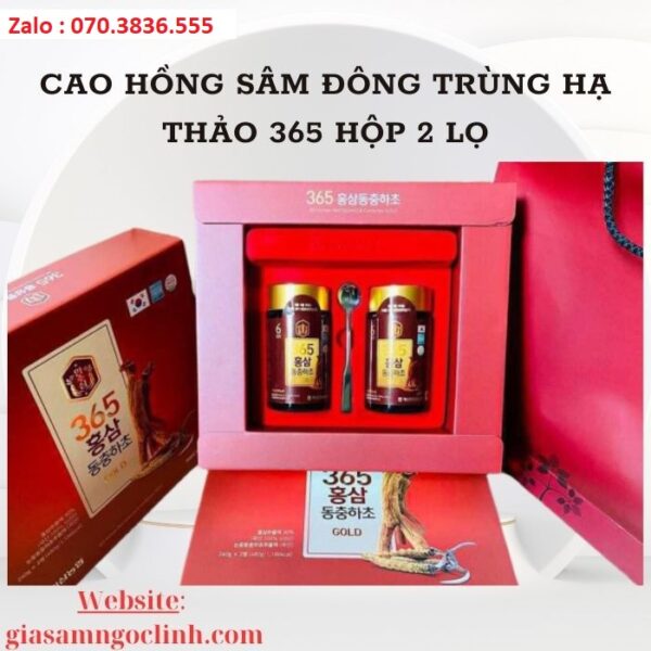 Cao Hồng Sâm Đông Trùng Hạ Thảo 365 Hộp 2 Lọ