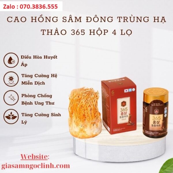 Cao Hồng Sâm Đông Trùng Hạ Thảo 365 Hộp 4 Lọ