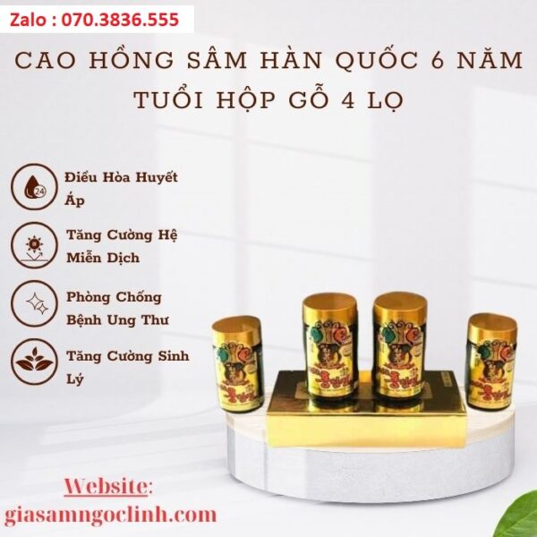 Cao Hồng Sâm Hàn Quốc 6 Năm Tuổi Hộp Gỗ 4 Lọ