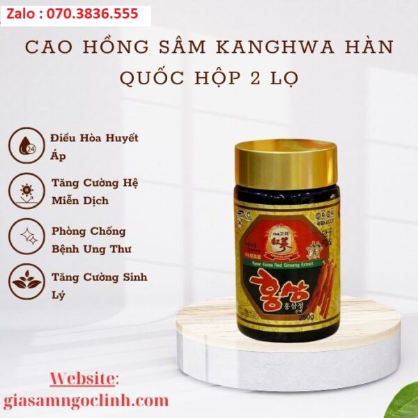 Cao Hồng Sâm Kanghwa Hàn Quốc Hộp 2 Lọ