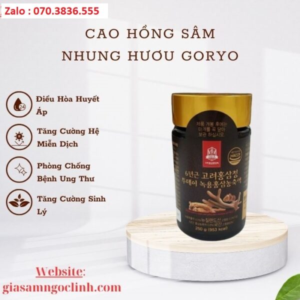Cao Hồng Sâm Nhung Hươu Goryo
