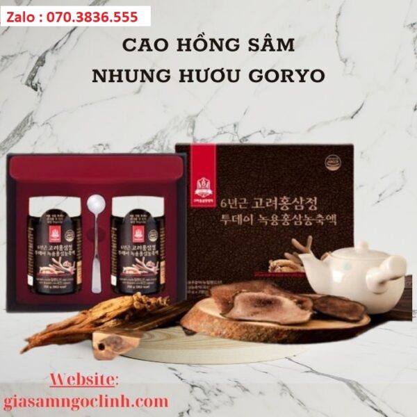 Cao Hồng Sâm Nhung Hươu Goryo