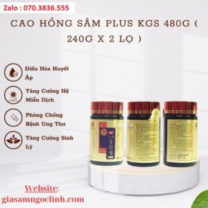Cao Hồng Sâm PLUS KGS 480G ( 240g x 2 Lọ ) Cao Hong Sam PLUS KGS 480G 240g x 2 Lo 1