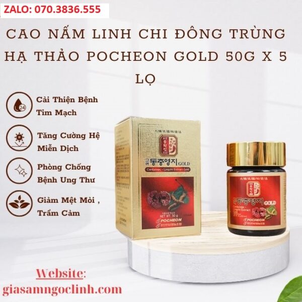 Cao Nấm Linh Chi Đông Trùng Hạ Thảo Pocheon Gold 50g x 5 lọ