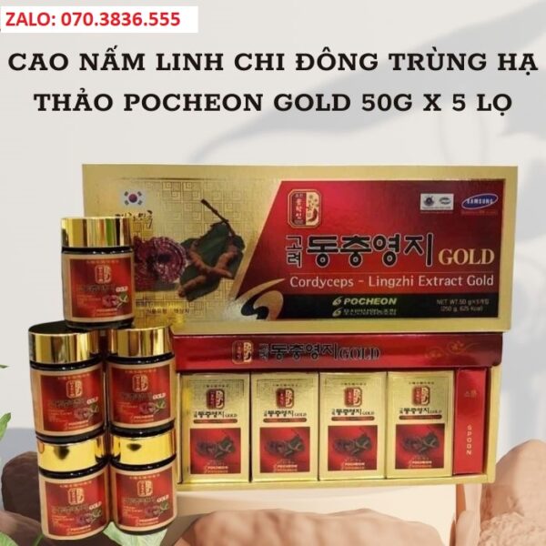 Cao Nấm Linh Chi Đông Trùng Hạ Thảo Pocheon Gold 50g x 5 lọ