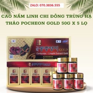 Cao Nấm Linh Chi Đông Trùng Hạ Thảo Pocheon Gold 50g x 5 lọ