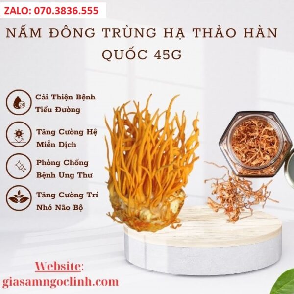 Nấm Đông Trùng Hạ Thảo Hàn Quốc 45g