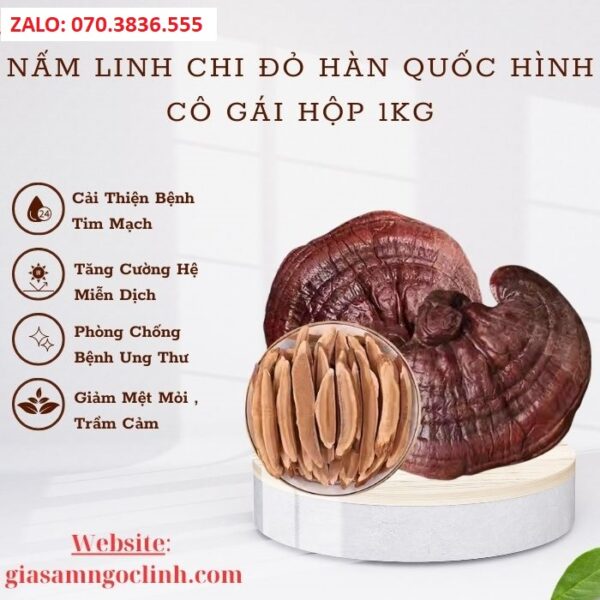 Nấm Linh Chi Đỏ Hàn Quốc Hình Cô Gái Hộp 1kg