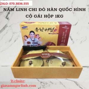 Nam Linh Chi Do Han Quoc Hinh Co Gai Hop 1kg 2