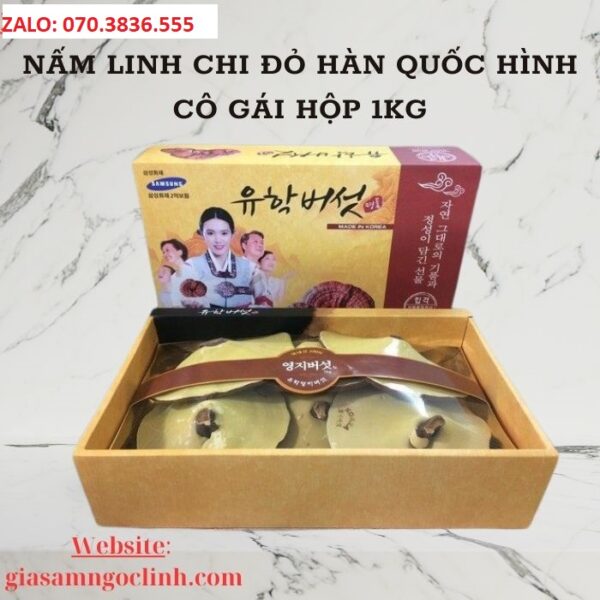 Nấm Linh Chi Đỏ Hàn Quốc Hình Cô Gái Hộp 1kg