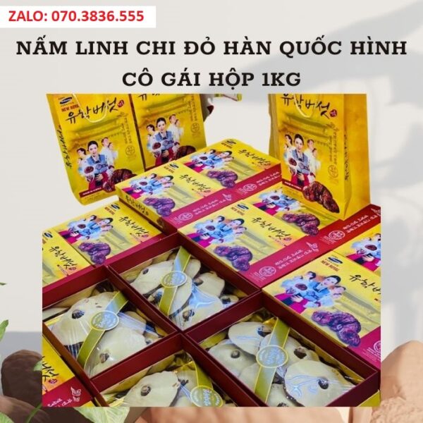 Nấm Linh Chi Đỏ Hàn Quốc Hình Cô Gái Hộp 1kg