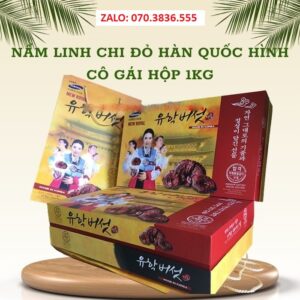 Nấm Linh Chi Đỏ Hàn Quốc Hình Cô Gái Hộp 1kg