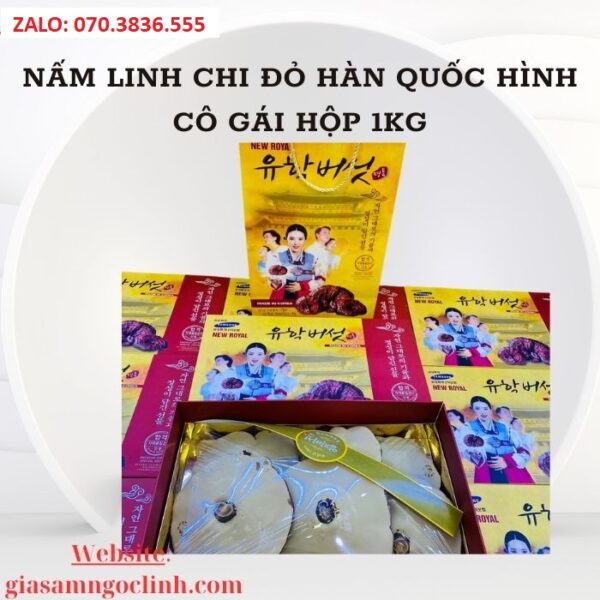 Nấm Linh Chi Đỏ Hàn Quốc Hình Cô Gái Hộp 1kg
