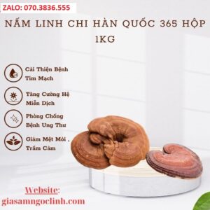 Nấm Linh Chi Hàn Quốc 365 Hộp 1kg Nam Linh Chi Han Quoc 365 Hop 1kg 1