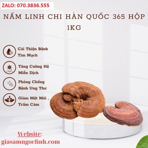 Nấm Linh Chi Hàn Quốc 365 Hộp 1kg