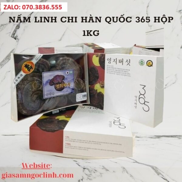 Nấm Linh Chi Hàn Quốc 365 Hộp 1kg
