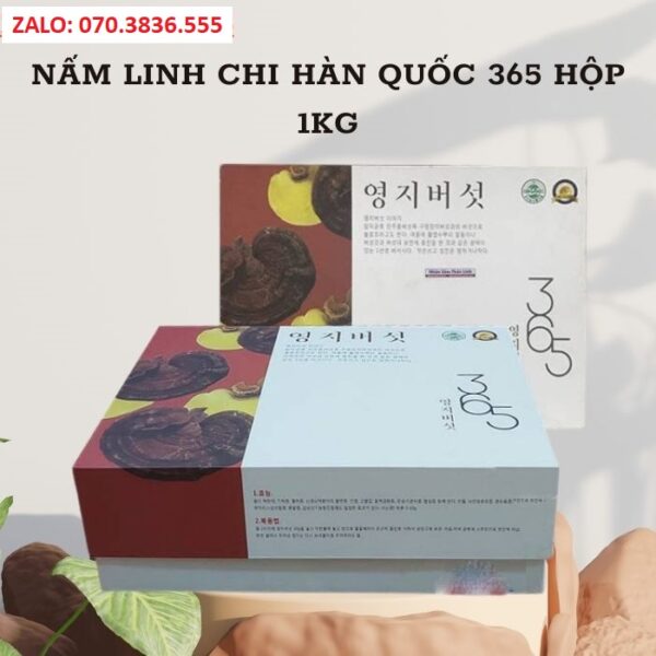 Nấm Linh Chi Hàn Quốc 365 Hộp 1kg