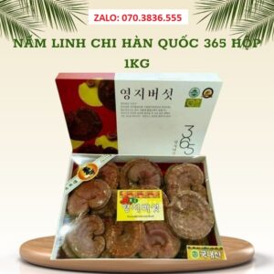Nấm Linh Chi Hàn Quốc 365 Hộp 1kg