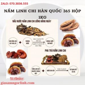 Nấm Linh Chi Hàn Quốc 365 Hộp 1kg Nam Linh Chi Han Quoc 365 Hop 1kg 4