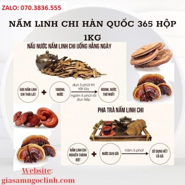 Nấm Linh Chi Hàn Quốc 365 Hộp 1kg