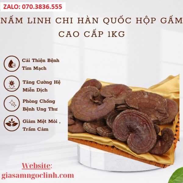 Nấm Linh Chi Hàn Quốc Hộp Gấm Cao Cấp 1kg