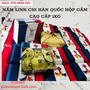 Nam Linh Chi Han Quoc Hop Gam Cao Cap 1kg 2