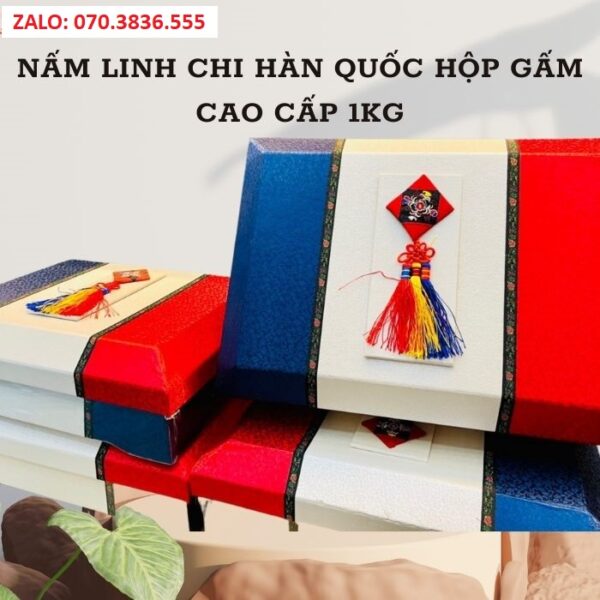 Nấm Linh Chi Hàn Quốc Hộp Gấm Cao Cấp 1kg