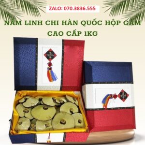 Nấm Linh Chi Hàn Quốc Hộp Gấm Cao Cấp 1kg