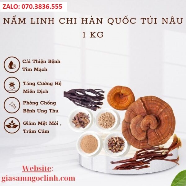 Nấm Linh Chi Hàn Quốc Túi Nâu 1 kg