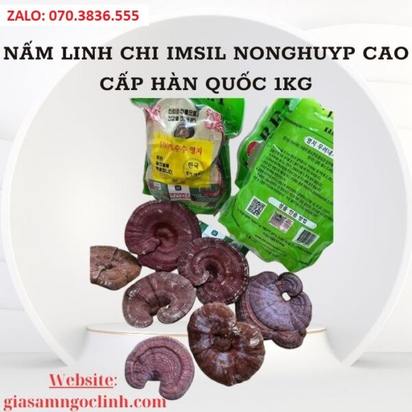 Nấm Linh Chi Kana Hàn Quốc 1 kg