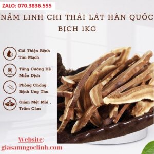 Nam Linh Chi Thai Lat Han Quoc Bich 1kg 1