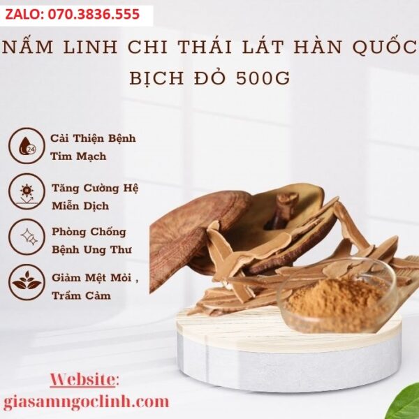 Nấm Linh Chi Thái Lát Hàn Quốc Bịch Đỏ 500g