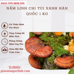 Nấm Linh Chi Túi Xanh Hàn Quốc 1 Kg Nam Linh Chi Tui Xanh Han Quoc 1 Kg 1
