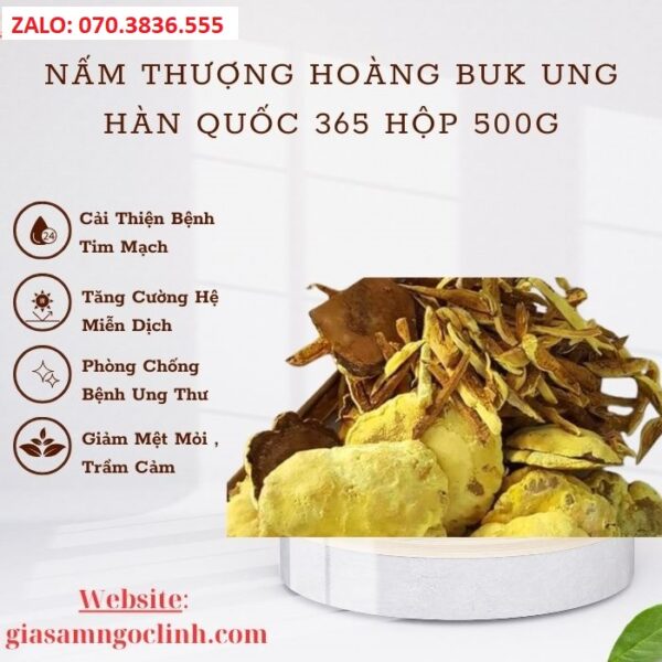 Nấm Thượng Hoàng Buk Ung Hàn Quốc 365 Hộp 500g