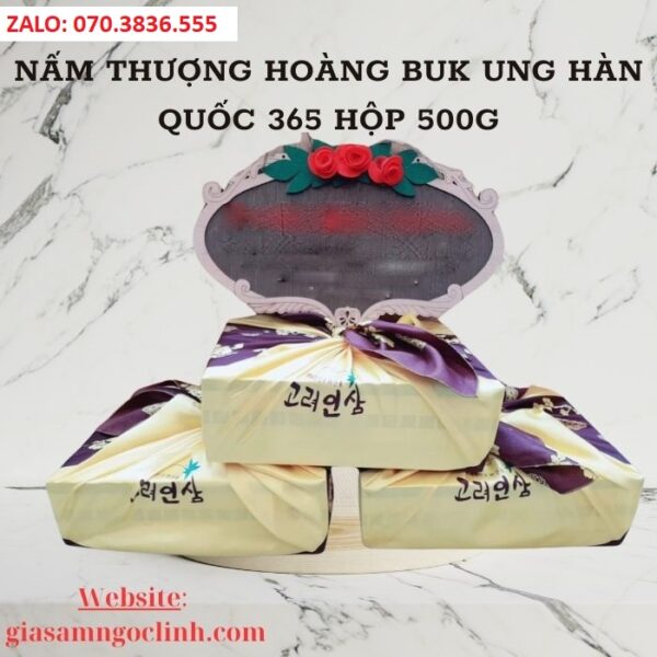 Nấm Thượng Hoàng Buk Ung Hàn Quốc 365 Hộp 500g
