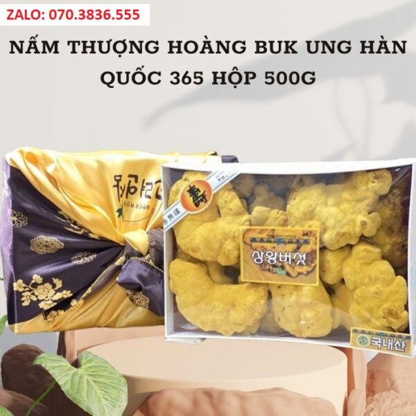 Nấm Thượng Hoàng Buk Ung Hàn Quốc 365 Hộp 500g